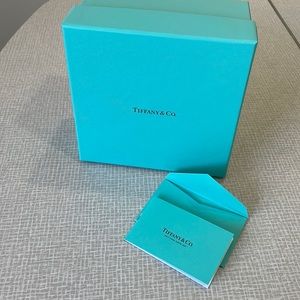 Tiffany & Co. LARGE box with envelope and care instructions.  Great condition!